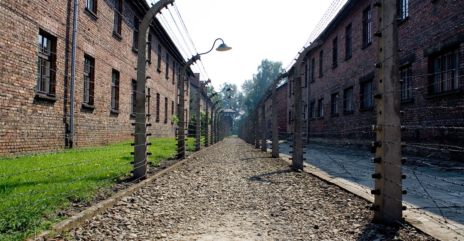 Auschwitz Documentário