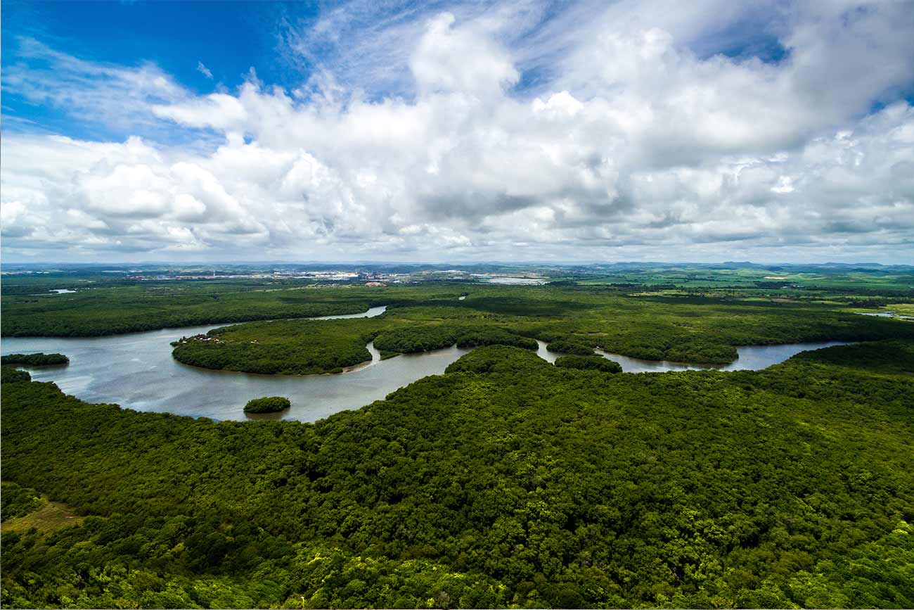 Amazonas unigran net