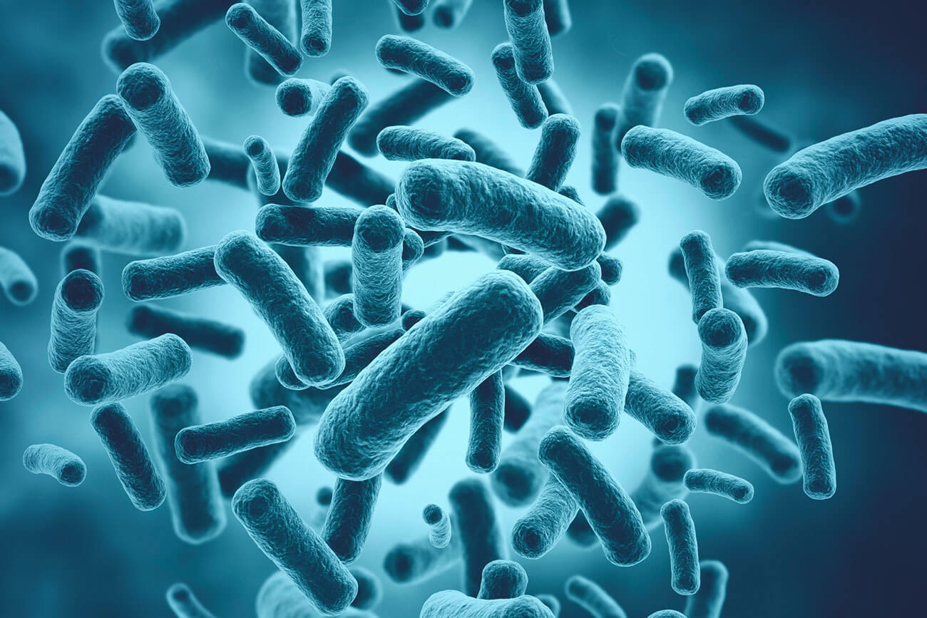 superbactérias unigran net