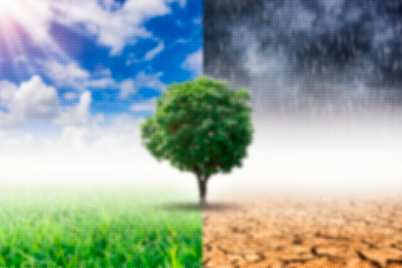 Fenômenos climáticos: conheça alguns deles! | Blog Unigran EAD