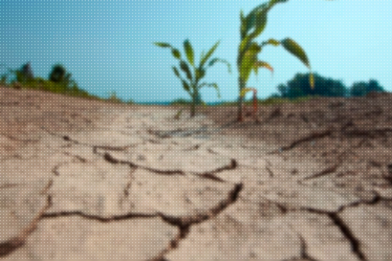 Os impactos das mudanças climáticas na agricultura